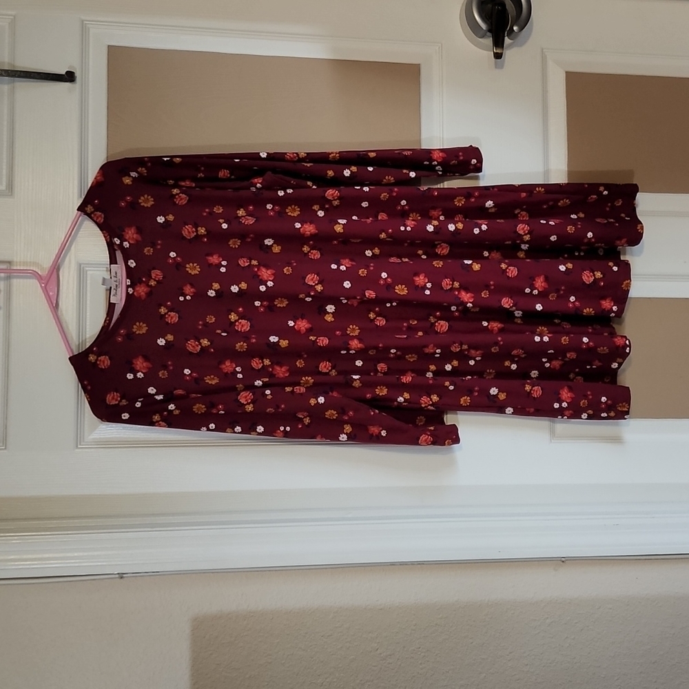 Woman's Dress size 1X
